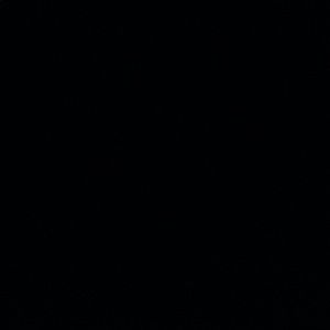 Meet your Posher, Cody